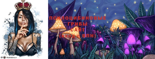 каннабис Дмитров