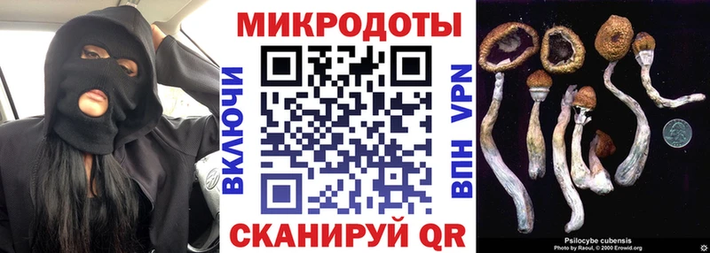 Галлюциногенные грибы Psilocybe  наркотики  Вуктыл 